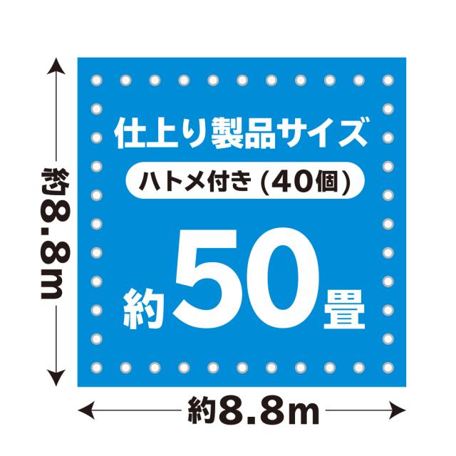 ブルーシート#3000 厚手 青 9.0x9.0M 1枚x2冊/ベール 約50畳用 ハトメ