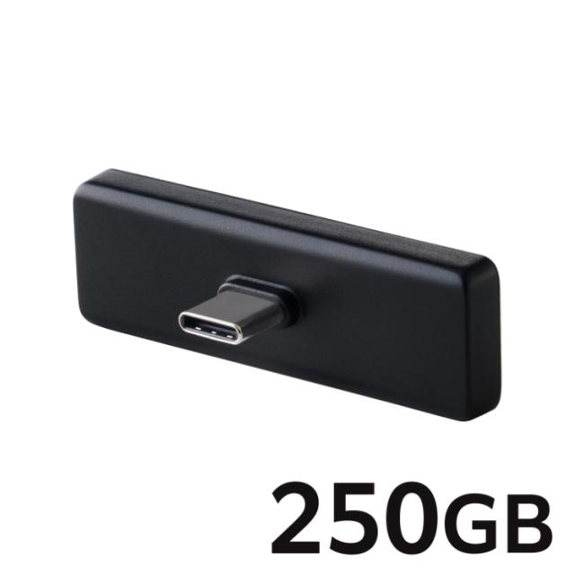 外付け SSD 250GB 超小型 直挿し USB 3.2 Gen2x2 20Gbps 最大2000MB/s iPhone iPad MacBook Windows Android USB-C機器対応 ProRes保存 高速データ転送 グレー_1
