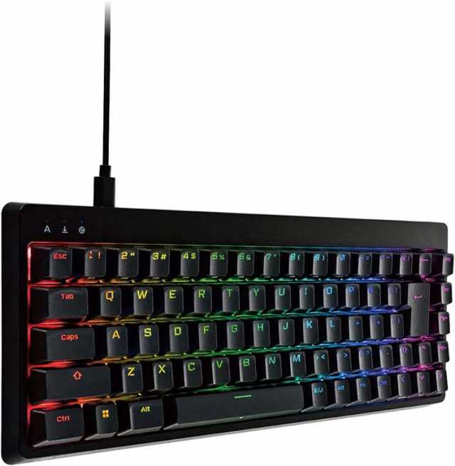 エレコム ゲーミングキーボード 【V custom】 有線 着脱式ケーブル RGB メカニカル ( 銀軸 / スピードリニア ) 日本語配列 テンキーレス USB Aポート×1 ブラック ELECOMの通販は