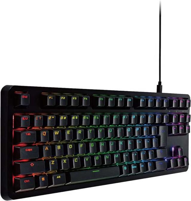 エレコム ゲーミングキーボード 【V custom】 有線 着脱式ケーブル RGB メカニカル ( 銀軸 / スピードリニア ) 日本語配列 テンキーレス ブラック ELECOMの通販は 15,056円