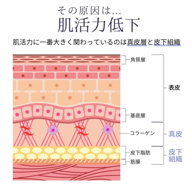 ANLAN 公式SHOP 正規品】 RF温冷美顔器 RF美顔器 温冷美顔器