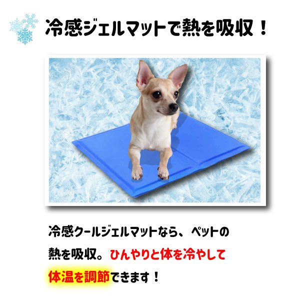 ネコポス便送料無料 ひんやり冷感ジェルマット ブルー 涼感ジェルマット ペット用 クールマット 冷感 マット ひんやり おすすめ 犬の通販はau Pay マーケット キセノンショップ