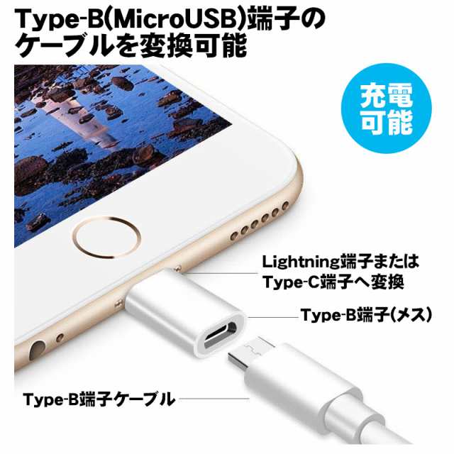 変換アダプター Type-Bを変換 選べるオス端子 Lightning Type-C 充電