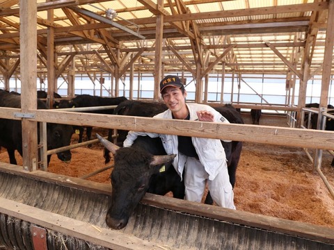 最高級 A5ランク 佐賀牛 焼肉用 カルビ 800g 霜降り ステーキ 牛肉 お肉 黒毛和牛 お取り寄せ 農家直送 山下牛舎_4