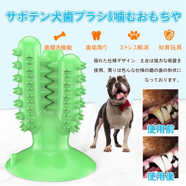 犬噛むおもちゃ ペット用 ワンちゃん歯ブラシ 頑丈 安全 歯のクリーニング インタラクティブな臼歯噛み 清潔の通販はau Pay マーケット ミソラ雑貨屋