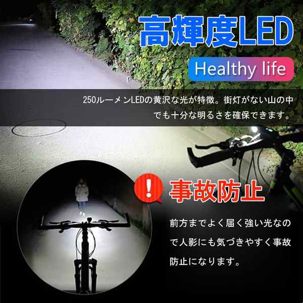 94%OFF!】 自転車 高輝度 LED ライト 防水 最強 USB充電 固定 テールライト