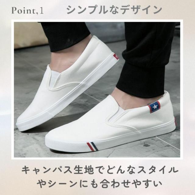 タネさま専用 お刺身様専用