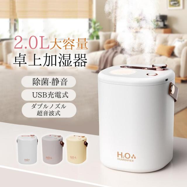 加湿器 小型 卓上 ミニ加湿器 超音波 空気清浄機 大容量 2L USB