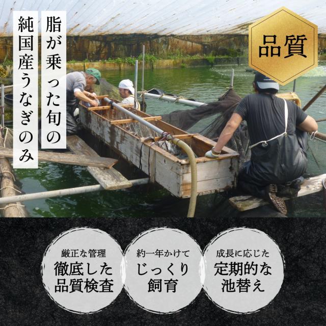 朝じめうなぎ 蒲焼き 3尾 1尾約150g×3 冷蔵便 国産 うなぎ 長蒲焼き 発送当日の朝に活鰻をさばいてお届け ギフト お中元 お歳暮 贈答_7