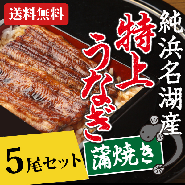 うなぎ 鰻 浜名湖 蒲焼き 5尾セット 冷凍便 母の日 父の日 お中元 敬老の日 お歳暮 贈答品 ギフト 土用の丑の日_1