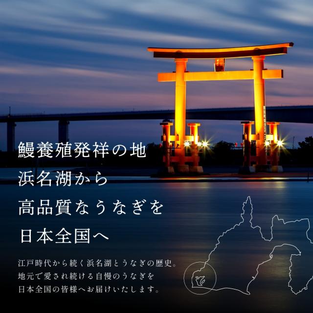 うなぎ 鰻 浜名湖 蒲焼き 5尾セット 冷凍便 母の日 父の日 お中元 敬老の日 お歳暮 贈答品 ギフト 土用の丑の日_4
