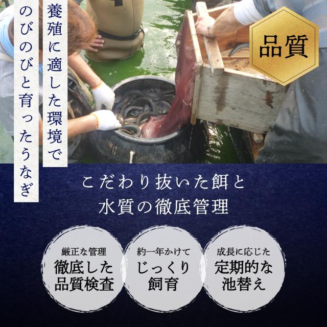 うなぎ 鰻 浜名湖 蒲焼き 5尾セット 冷凍便 母の日 父の日 お中元 敬老の日 お歳暮 贈答品 ギフト 土用の丑の日_5