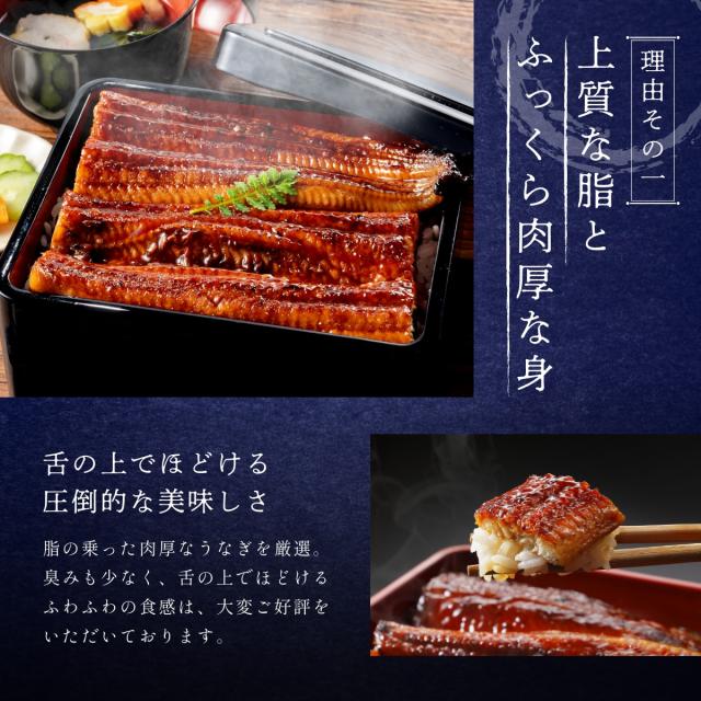 うなぎ 鰻 浜名湖 蒲焼き 5尾セット 冷凍便 母の日 父の日 お中元 敬老の日 お歳暮 贈答品 ギフト 土用の丑の日_6