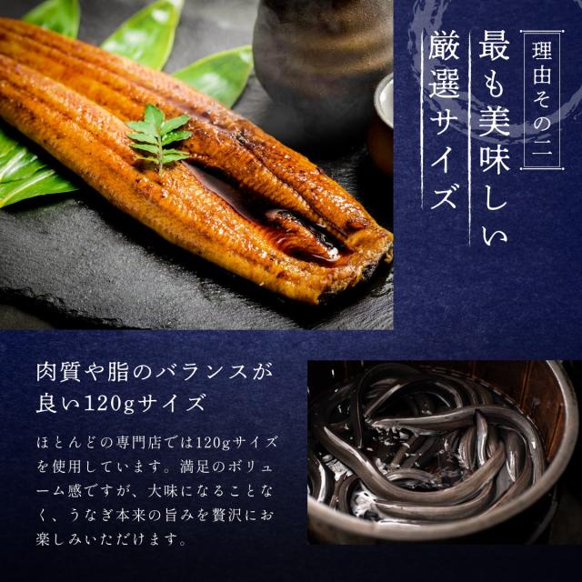うなぎ 鰻 浜名湖 蒲焼き 5尾セット 冷凍便 母の日 父の日 お中元 敬老の日 お歳暮 贈答品 ギフト 土用の丑の日_7