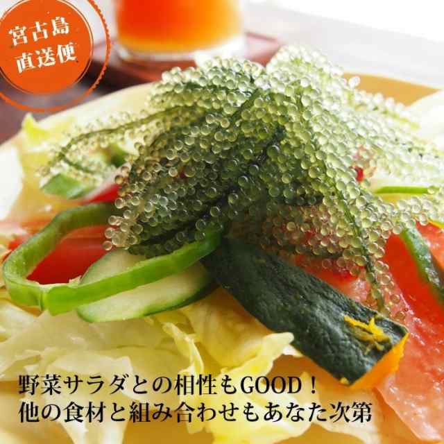 朝獲れ新鮮 生海ぶどう (500g) (茎なし) 送料無料 沖縄 宮古島産 居酒屋 小料理 おつまみにの通販はau PAY マーケット - ３８５じま  au PAY マーケット店