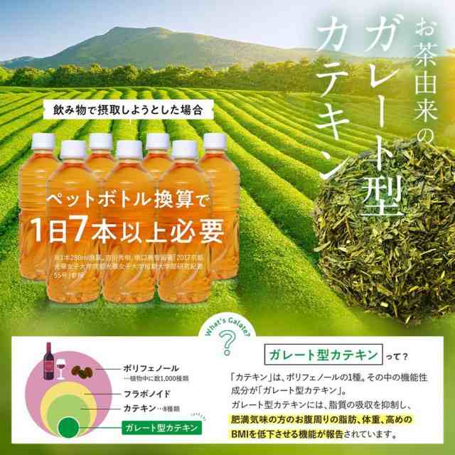 カテキン緑茶 ガレート型カテキン カテキン減脂粒 DMJえがお生活 31日