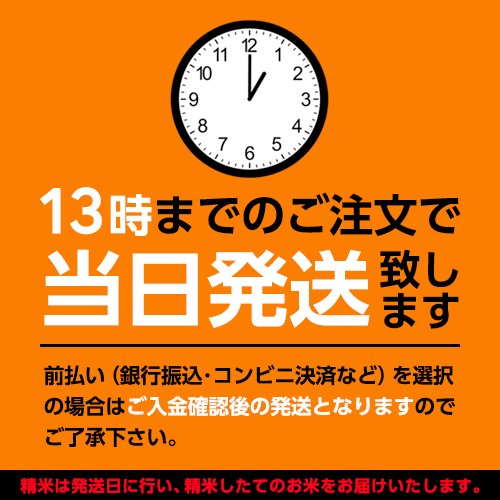 令和7年産　秋田県産　きぬのはだ　もち米　一等米　玄米　30ｋｇ　米びつ当番【天鷹唐辛子】プレゼント付き※沖縄別途送料追加_1