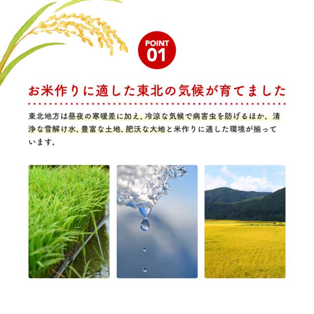 こまち姫20kg】令和7年産 東北産 こまち姫（オリジナルブレンド米