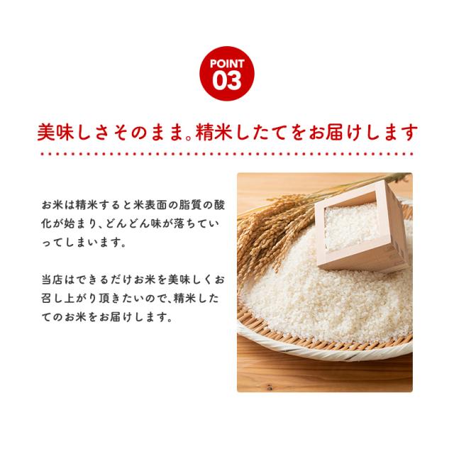 【こまち姫20kg】令和7年産東北産 こまち姫（オリジナルブレンド米） こまち姫20kg】令和7年産 東北産 こまち姫（オリジナルブレンド米