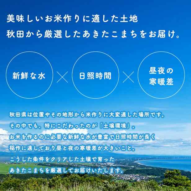 新米！【お助け10ｋｇ】令和4年産 あきたこまち 家計お助け米 農家直送便 10ｋｇ（5ｋｇ×2袋） 米びつ当番【天鷹唐辛子】プレゼントの通販はau  PAY マーケット - こまちライン au PAY マーケット店