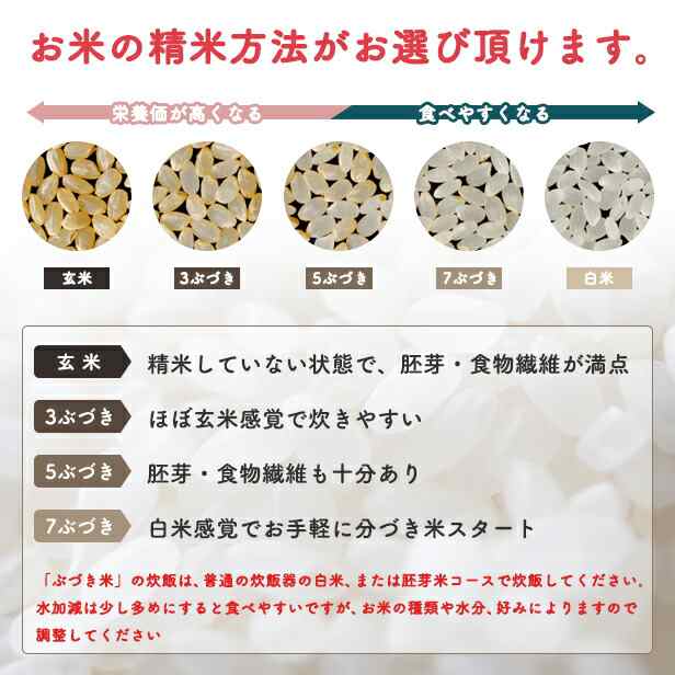 【白米10ｋｇ】令和7年産　秋田県産あきたこまち10ｋｇ 5ｋｇ×2袋　一等米　米びつ当番【天鷹唐辛子】プレゼント付き　白米　沖縄・離島別途送料_6