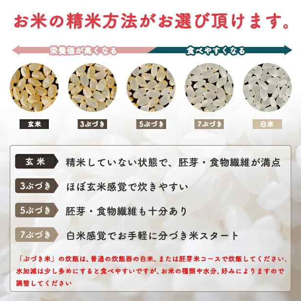 新米！【白米10ｋｇ】令和5年産　選べる精米の通販はau　PAY　秋田県産あきたこまち10ｋｇ　米びつ当番【天鷹唐辛子】プレゼント付き　5ｋｇ×2袋　au　PAY　マーケット店　一等米　マーケット　こまちライン　au　PAY　マーケット－通販サイト