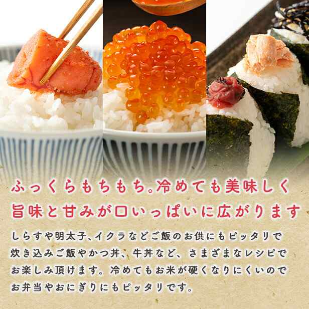 秋田県産　新米！【備蓄米　無洗米10ｋｇ】令和5年産　au　こまちライン　マーケット店　あきたこまち10ｋｇ　2.5kg×4袋　PAY　厳選されたおいしいお米　米びつ当番【天鷹唐辛子】の通販はau　マーケット　PAY　PAY　au　マーケット－通販サイト