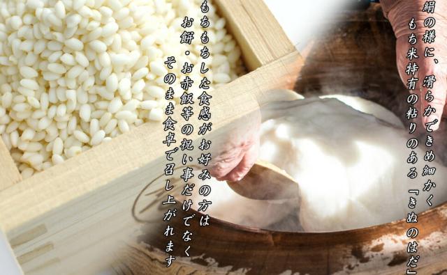 令和7年産　秋田県産　きぬのはだ　もち米　一等米　玄米　30ｋｇ　米びつ当番【天鷹唐辛子】プレゼント付き※沖縄別途送料追加_2