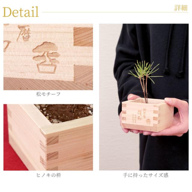 母の日 プレゼント ミニ 盆栽 セット キット 名入れ ギフト 名前入り 栽培セット 枡松 敬老 ギフト ミニ 盆栽 誕生日 男性 女性 の通販はau Pay マーケット 名入れ 名前入りギフトきざむ
