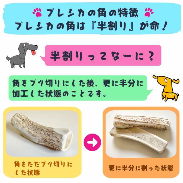 お試し 中〜大型犬用 12cm Lサイズ 鹿の角 半割り 1本セット 犬 おもちゃ 噛む 犬 歯石 犬 おやつ 鹿の角 鹿角 シカの角 ジビエ  の通販はau PAY マーケット プレシカ au PAY マーケット－通販サイト