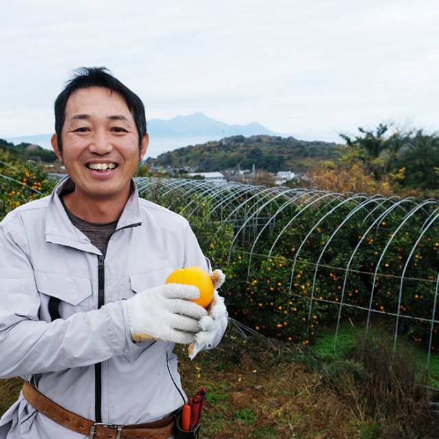 熊本県産 不知火 4.5kg 15個《産地直送 2025年度 2/12から順次発送》【送料無料 北海道沖縄離島除く】 熊本 国産 宇土市 UTO デコポン でこぽん デコオレンジ デコタンゴール オレンジの通販は