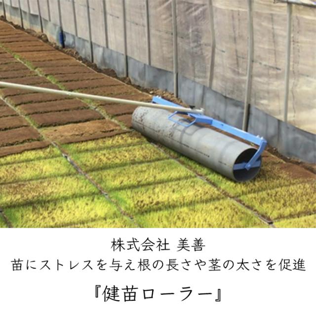 美善 健苗ローラー KBR-15W 1機《メーカー直送》【送料無料 沖縄離島を 