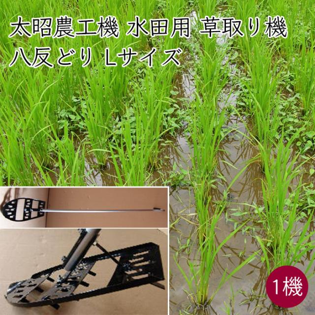 太昭農工機 水田用草取り機 はったんどり Lサイズ 1機 《メーカー直送》【送料無料 北海道沖縄離島除く】 八反どり 水田 田んぼ 水田用 田んぼの除草機 水田除草機 草取り たったまま 除草 雑草対策 除草機 除草器具 農機具 農機 雑草 対策 手動 太昭農耕機