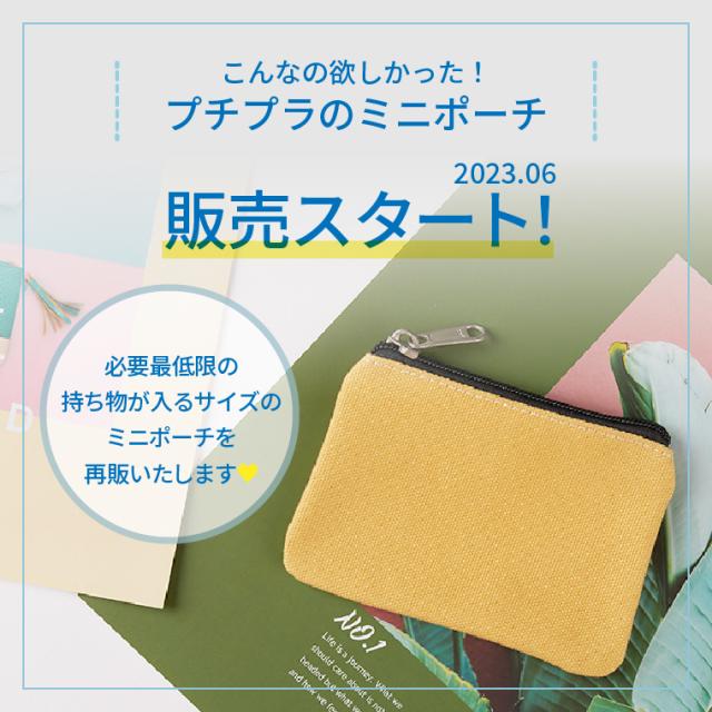 ゼフィルス ゼフィルス24 日本産ミドリシジミ類24種 蝶の生態写真集