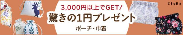 3000円以上のご購入で 1円 プレゼント おまけ ポッキリ おもちゃ 