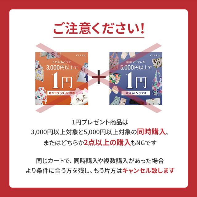 3000円以上のご購入で 1円 プレゼント おまけ ポッキリ おもちゃ 
