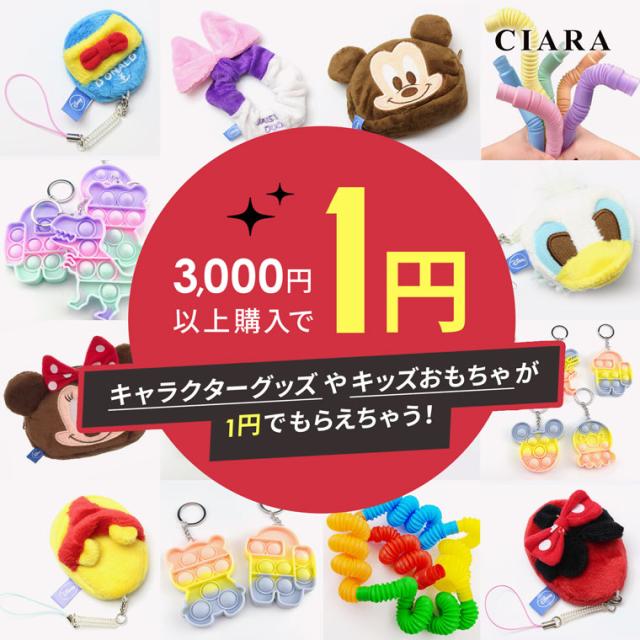 3000円以上のご購入で 1円 プレゼント おまけ ポッキリ おもちゃ 