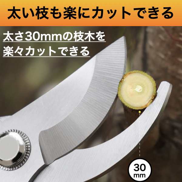 剪定ばさみ はさみ 30mm ハサミ 剪定鋏 庭 ガーデン 園芸 枝切り 枝