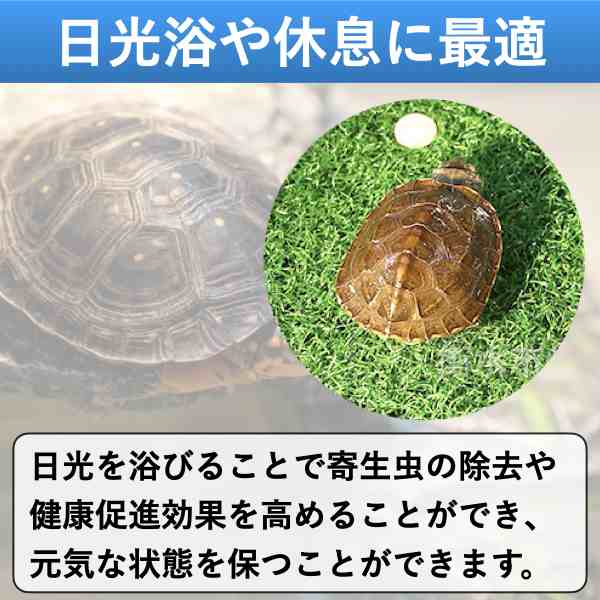 亀 爬虫類 日光浴 人工芝 グリーン 浮島 水槽 浮き島 芝生 吸盤 カメ桟橋