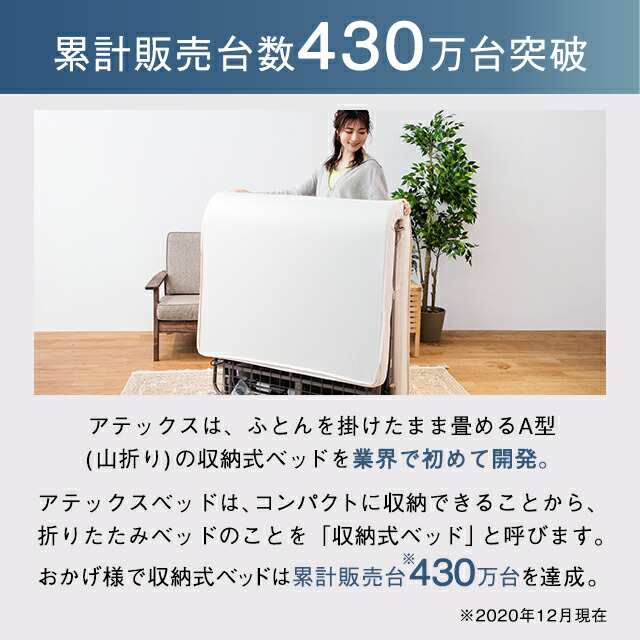 収納式電動リクライニングベッド AX-BE560専用 サイドグリップ AX