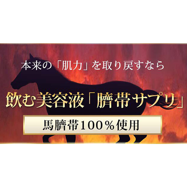 母の滴　臍帯100 9個 母の滴 母の滴臍帯100（10粒入り） 国産 馬100% 臍帯 飲む 美容