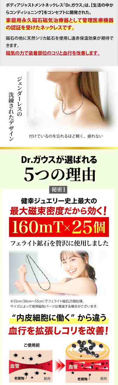 国産 磁気ネックレス】 Dr.ガウス スタンダードタイプ Lサイズ 55cm