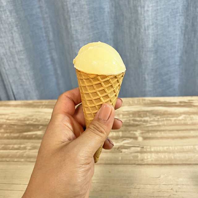 【未使用】YUKIWA ステンレス アイスクリーム食器セット