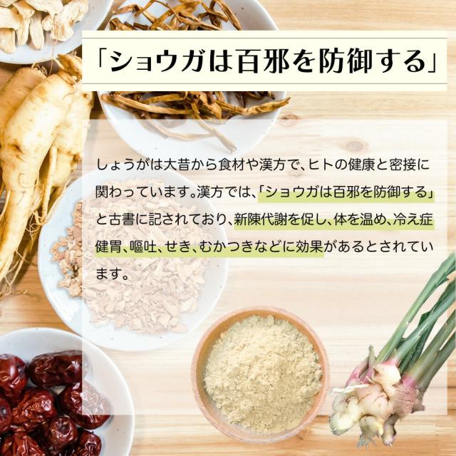 金時生姜パウダー 100g みずたま農園製茶場 国産 健康 美容効果 粉末生姜 しょうが ジンジャー 粉末の通販はau Pay マーケット みずたま農園製茶場