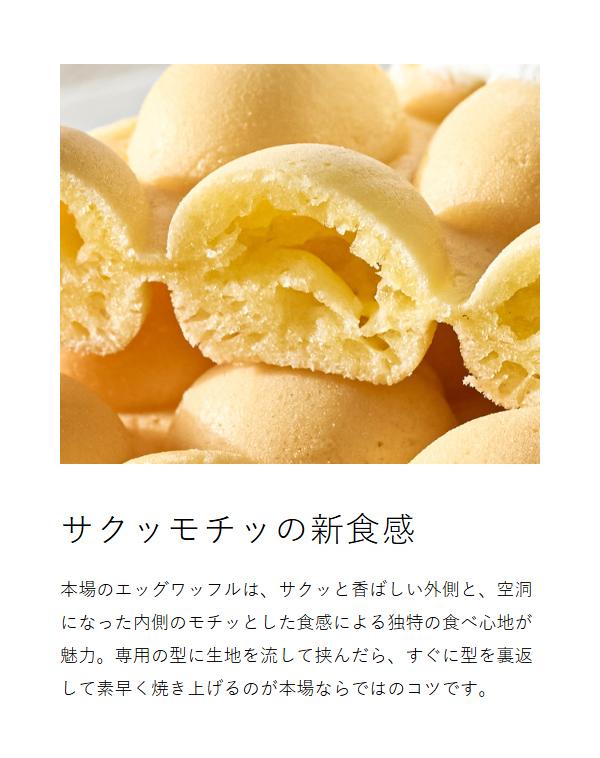 ［ Vitantonio エッグワッフル＆ホットサンドベーカー ポワソンプレートセット ］ビタントニオ エッグワッフルメーカー ホットサンドメーカー 電気 バブルワッフル ホットサンド たい焼き 食パン 1枚 おしゃれ 朝食 おやつ 軽食 レシピ付き VEH-10_10