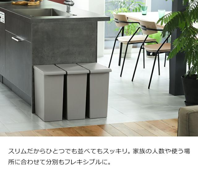 【30%OFF（〜8/31）】ダストボックス ごみ箱 カウンター キッチン 収納 TOSTE レバーオープン 30L ］ごみ箱 キッチン ゴミ箱 おしゃれ