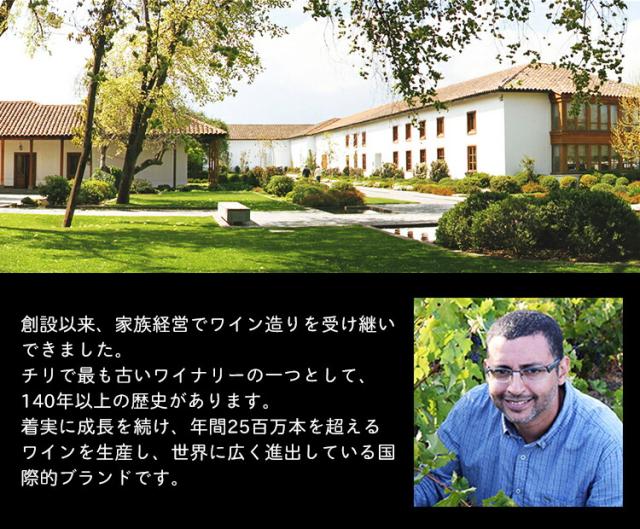 ワインセット 【12本 まとめ買い】 プエンテ・ネグロ 赤 人気のチリ コク旨 送料無料 一部除外 赤ワイン チリワイン チリ 辛口 赤 ワイン