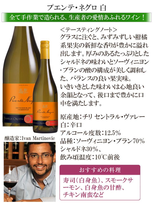 ワインセット 【12本 まとめ買い】プエンテ・ネグロ 白 人気のチリ 安旨 送料無料 一部除外 チリワイン 辛口 白 ワイン