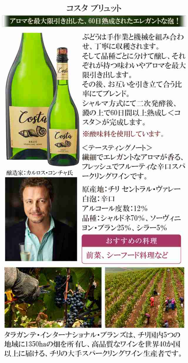 日本に ワイン ワインセット 泡 スパークリング 7本 ワイン福袋 福袋 辛口 スパークリングワイン スパークリングセット 