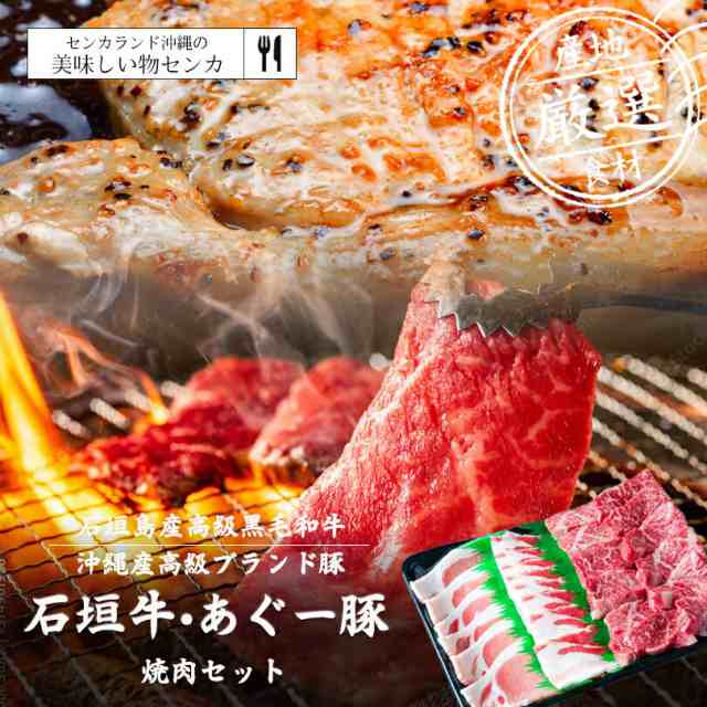 ふるさと納税 石垣市 石垣牛ハンバーグセット 100g×10個